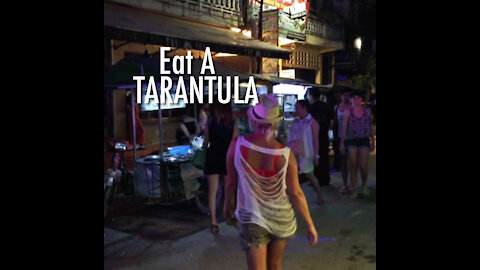 Eat A Tarantula Spider - Siem Reap, Cambodia