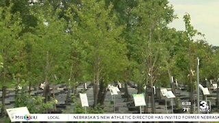 POSITIVELY THE HEARTLAND: Mulhall's partnering with Keep Omaha Beautiful to replace trees lost in storm