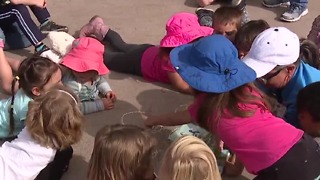 Program allows kids to explore nature at Wetlands Park