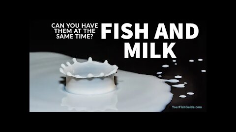 How Long After Eating Fish Can You Drink Milk ~ What Happens and Why We CAN Do it!