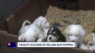 Facility accused of selling sick puppies