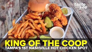 King of the Coop: Tampa's 1st Nashville hot chicken spot | Taste and See Tampa Bay