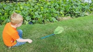 A Boy Catches A Frog But It Hops Away