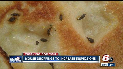 Indy Little Caesars forced to close after customer finds mice droppings in pizza