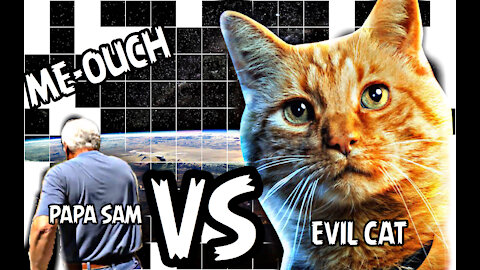 Papa Sam vs The Cat