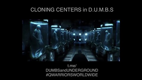 CLONING CENTERS IN DUMBS