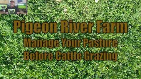 Manage your Pasture before Cattle Grazing