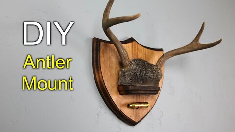 DIY Antler Mount - How to make