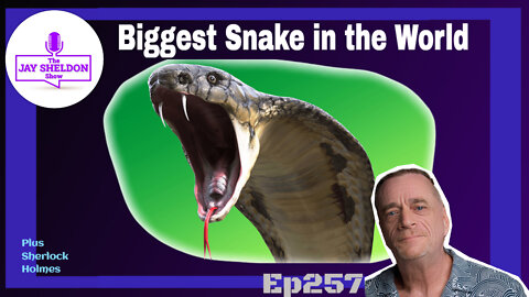 The biggest snake in the world!