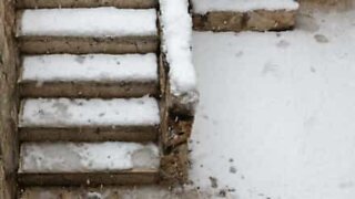 Neve e escadas, dois inimigos dolorosos!