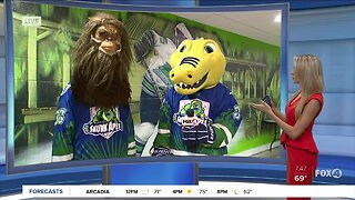 The Florida Everblades turn into the Skunk Apes for Saturday home game