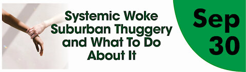 Systematic Woke Suburban Thuggery and What to Do About It