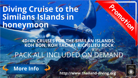 🤿 🐋Diving #Liveaboard in the Similans Islands in Honeymoon