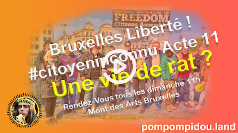 Bruxelles Liberté ! #citoyeninconnu​ Acte 11