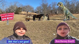 DINO DANGER- A Frigid Walking Video