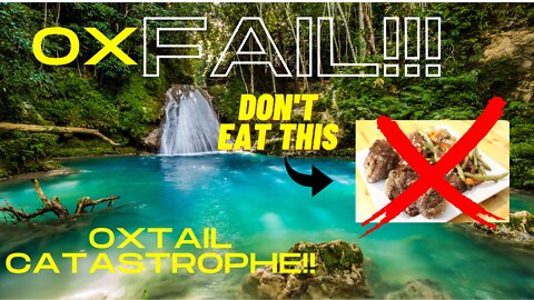OXFAIL!!! We cooked OXTAILS ALL WRONG!!!