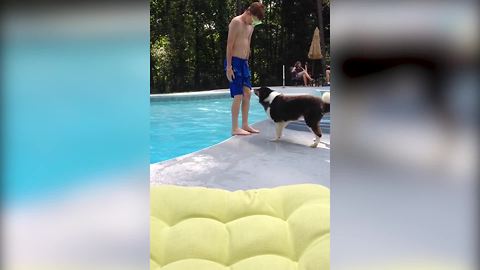 Funny Dog Pushes Boy Into Swimming Pool