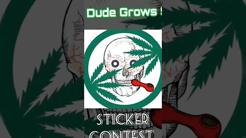 Subscribe Now to Begin. The Dude Grows Show.