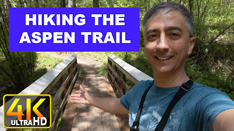 Hiking the Aspen Trail in Driggs Teton County Idaho (4k UHD)