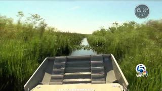 High water levels a threat to wildlife in the Everglades