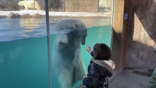 World Wildlife Day at the Buffalo Zoo