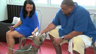 Hall of Famer Willie Roaf helps with Furry Friends opening