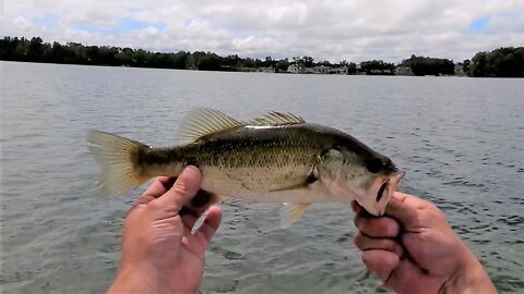 Intense Bass Fishing - Beautiful Silver Lake - Part 2