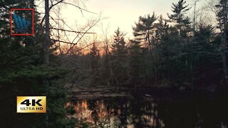 Sunset on the Cabin Lake Trail - ((4K))