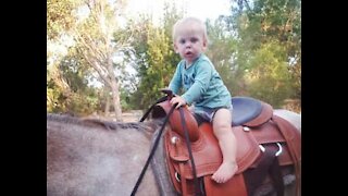 Ce petit Australien murmure à l'oreille des chevaux