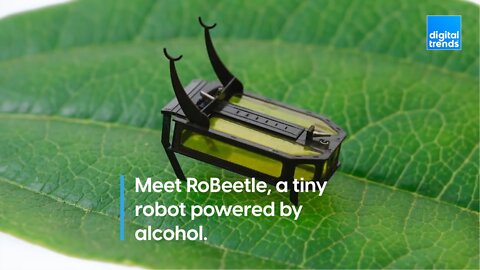 Meet RoBeetle, a tiny robot powered by alcohol.
