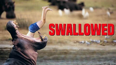 This Man Was SWALLOWED By A Hippo While On Safari