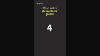 Biology Quiz: What makes chloroplasts green?