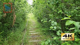 Abandoned Tracks - 4K Hike