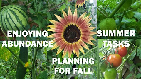 Mid Summer Garden Update | Enjoying Abundance | Monthly Maintenance | Planning for Fall