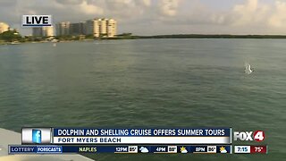 Island Time Dolphin and Shelling Cruises run private tours out of Fort Myers Beach