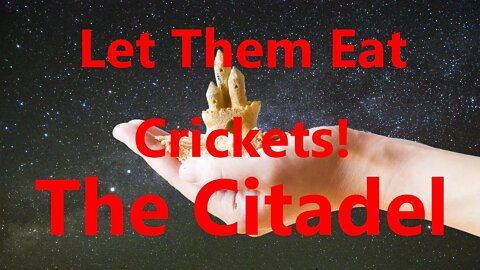 Let Them Eat Crickets!