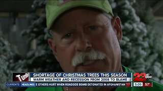 Experts explain Christmas tree shortage this year