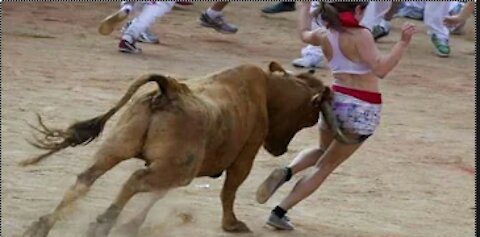 Most Awesome Bullfighting Festival Funny Video - Amazing Funny Incidents