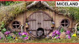 British photographer makes tiny village for mice