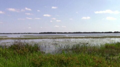 Crooked Lake - Fly Fishing From Shore