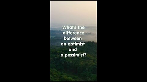 What is the difference between optimist and pessimist?