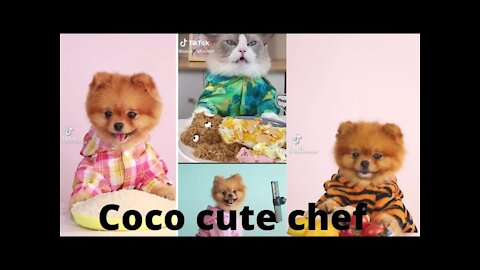 Coco cute chef tiktok Completion