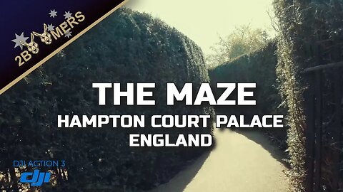 THE MAZE AT HAMPTON COURT PALACE ENGLAND