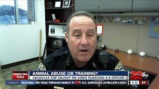 Animal abuse or training?