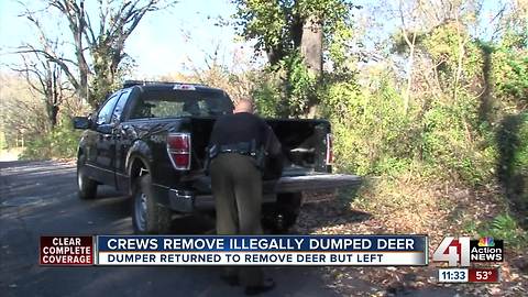 Crews remove illegally dumped deer near 18th & Vine