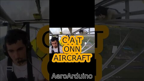 Super Funny Guy Had Emergency Landing After Cat Found On Aircraft #Aviation #AeroArduino