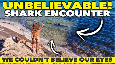 🦈 GOULET BLUFF AND EAGLE BLUFF, SHARK BAY | SO MANY SHARKS!! | DO NOT SWIM HERE!! | TRAVEL VLOG