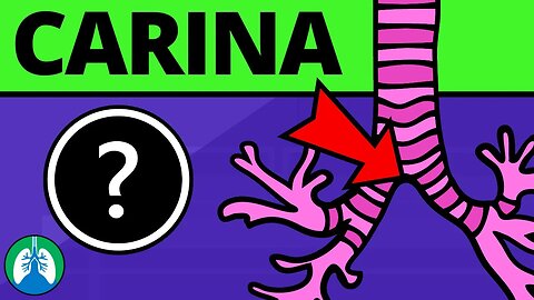 Carina (Medical Definition) | Quick Explainer Video