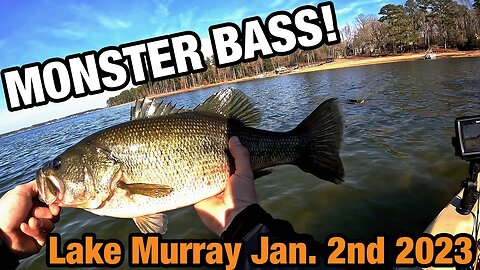 New Year Monster Bass on Lake Murray! First trip 2023