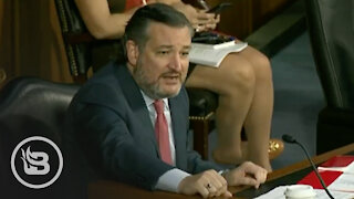 Ted Cruz OBLITERATES Push for Gun Control After Boulder Shooting